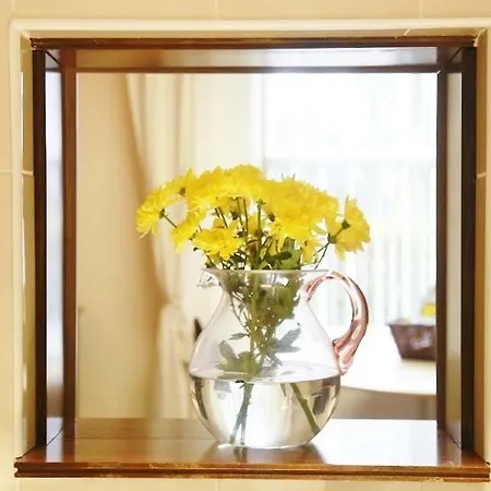 Apartment Silver Crescent House & Apts Vacation City Ireland *